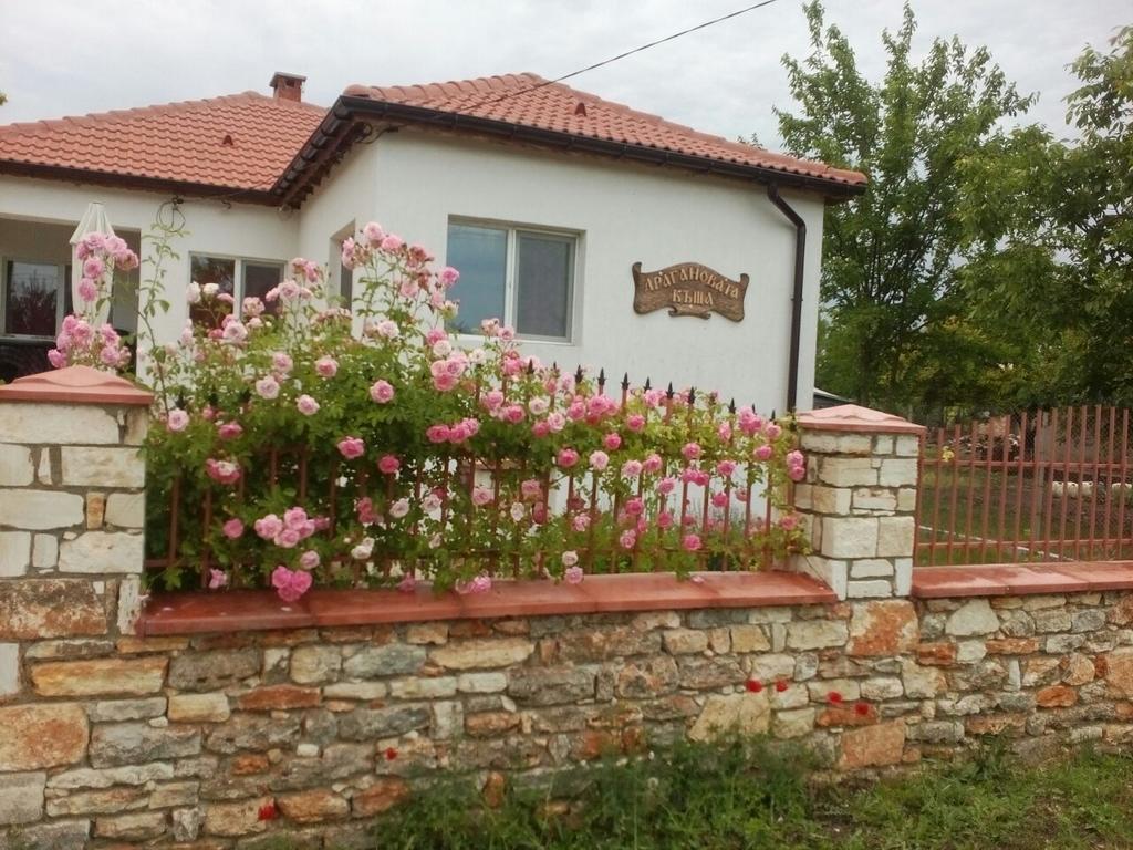 杜瑞古拉克 Draganov House酒店 外观 照片